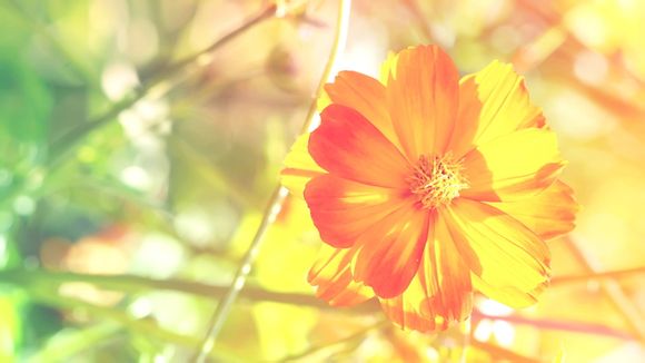 曼联上次进欧冠16强的时间