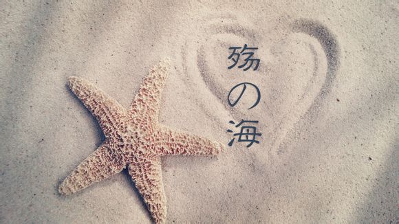 赵睿40分是哪一场回放