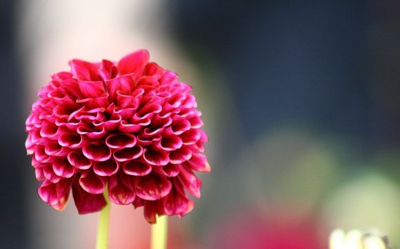 勇士总冠军库里mvp