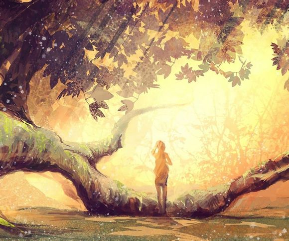 西双版纳旅游攻略自助游线路推荐