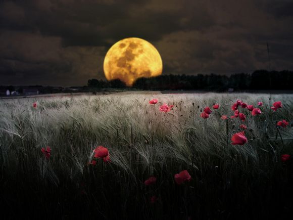 2014年骑士vs尼克斯