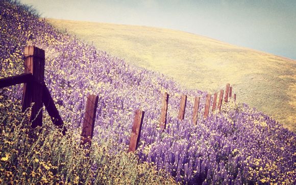 nba历史冠军最有价值球员