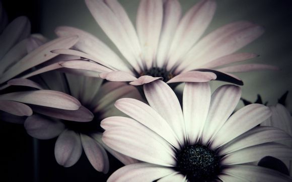 18年世界杯克罗地亚战绩