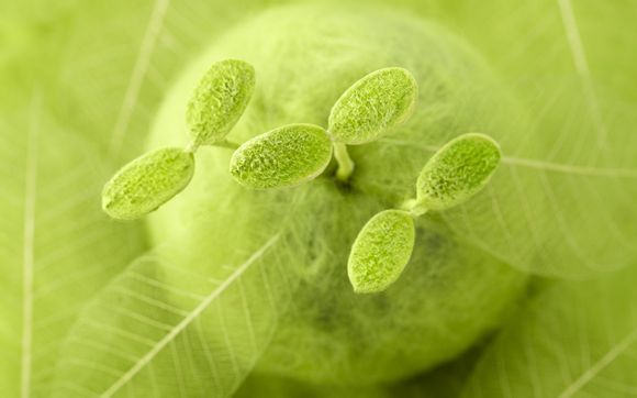 cba全明星阵容新闻