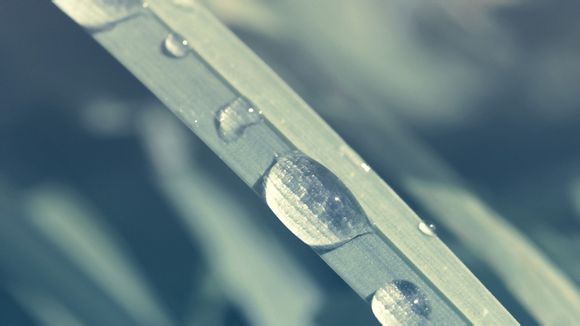 nba工资帽大涨是哪一年