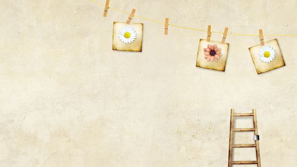 ds160表格确认页样本