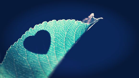 2018日历壁纸桌面自动更新时间