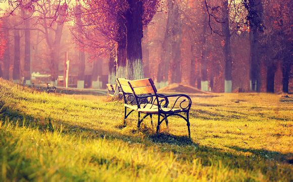 2007年中国男篮nba夏季联赛战绩