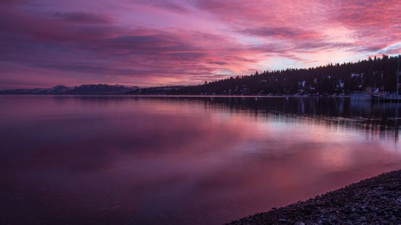 掘金与老鹰预测