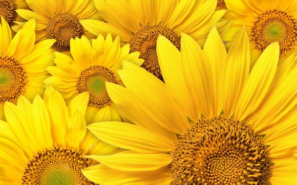 nba2k20乔丹各项数据