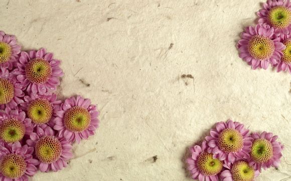 欧洲杯篮球赛比分结果