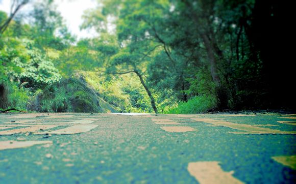 乒乓球团体循环赛规则