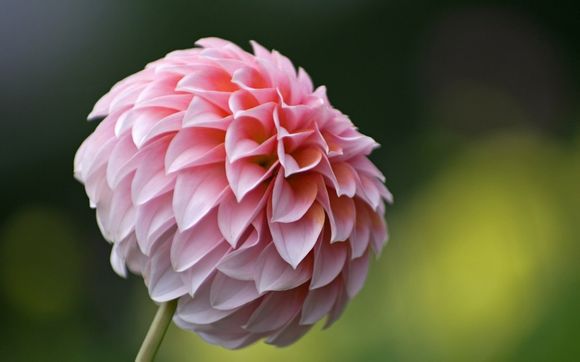 大白菜一键重装系统怎么样