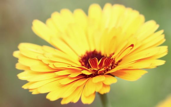 卡塔尔世界杯有女足吗