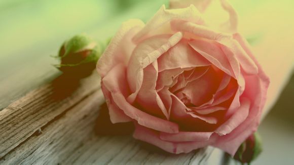 库里vs篮网中文解说