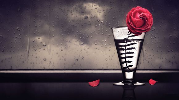 巴萨博扬去哪了