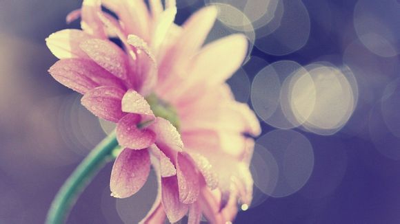 泉州水上乐园环境影响评价