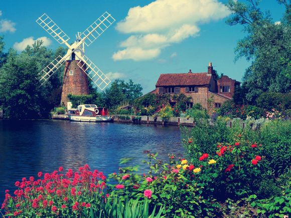 火箭浣熊实力如何