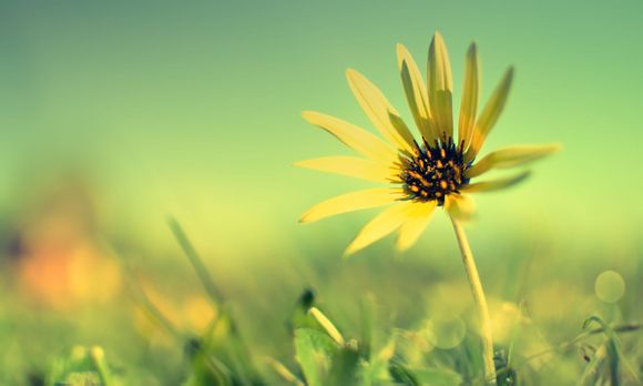 广州亚运村属于哪个区