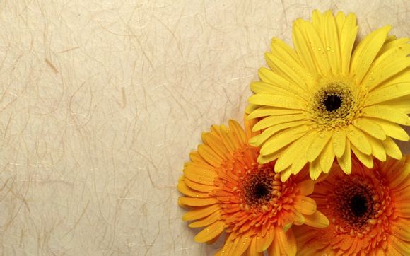 2012nba总决赛数据