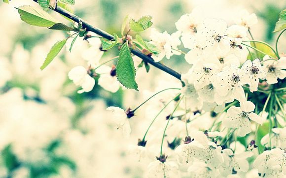 阿森纳有几个英超冠军