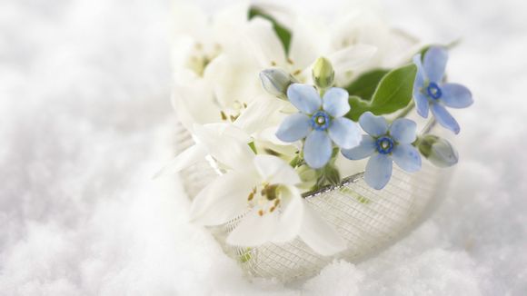 nba20年最佳新秀