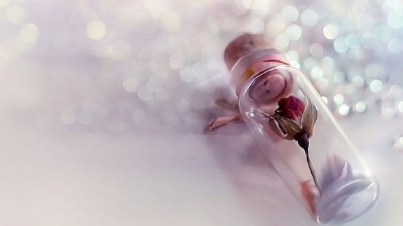 球探篮球老版资料库