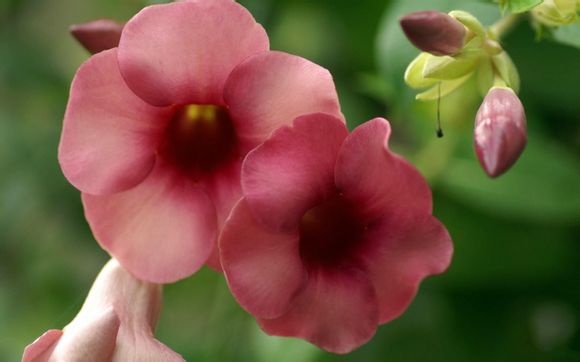 14年世界杯阵容