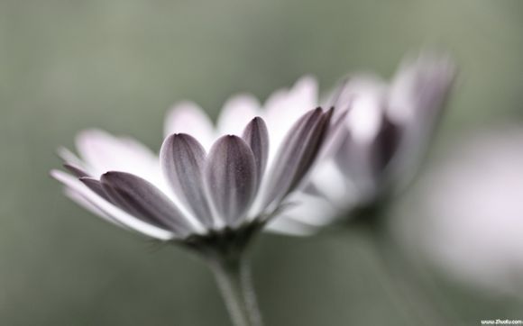 清华同方手写板驱动ty105