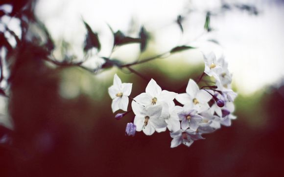 nba谁签了25年合同