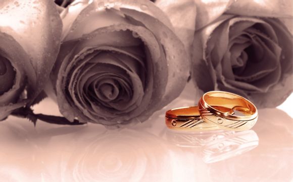 女子羽毛球世界排名最新排名