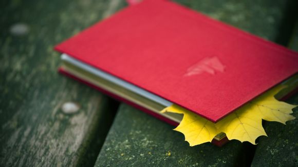 2022乒乓球世界杯在哪个国家