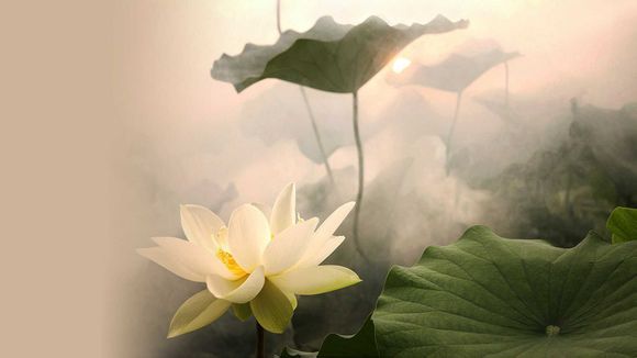 科比高阶数据排名