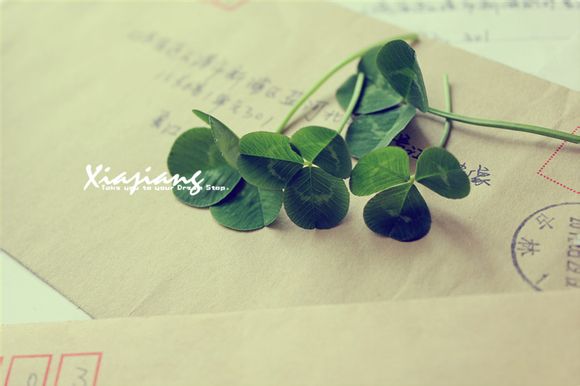 nba刷数据十大球星